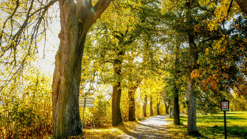 Sledujte RADAR: Do Česka vtrhne oteplení i slunce. Dokdy babí léto potrvá?