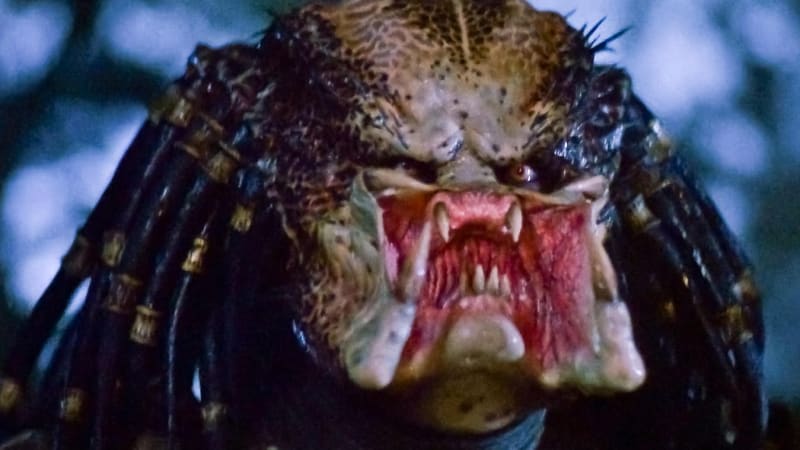 KVÍZ: Když může krvácet, může i umřít. Jak dobře znáte filmy s Predátorem?