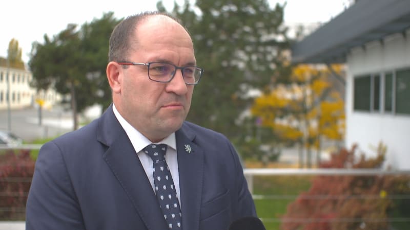 Nebezpečná nákaza se šíří chovem v Česku, uvedl Výborný. Odhalily ji laboratorní testy