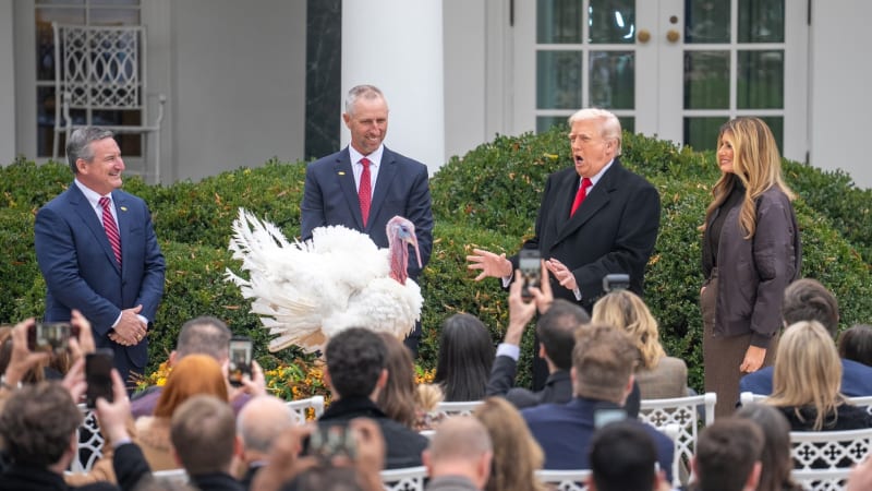 Trumpova krocaní groteska: Spílal guvernérovi do „špindírů“, omilostněný pták mezitím zmizel