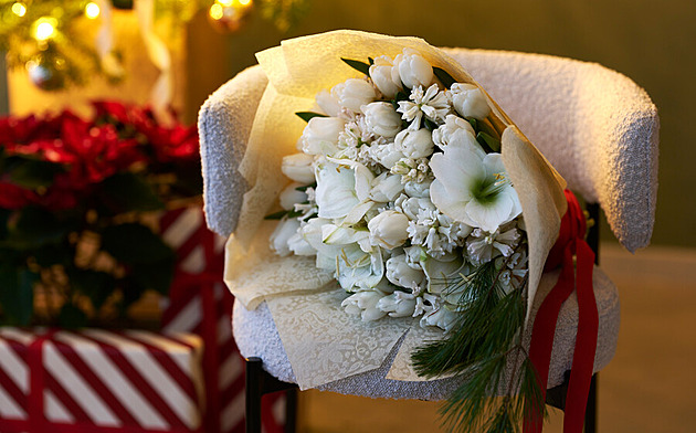 Hvězdník si lze užít nejen o Vánocích. Kvést vám může i v sezoně na zahradě