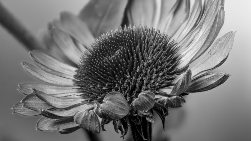 Nečekaná smrt úspěšného podnikatele Vaňa. Bylo mu jen 36 let, oblíbená firma končí