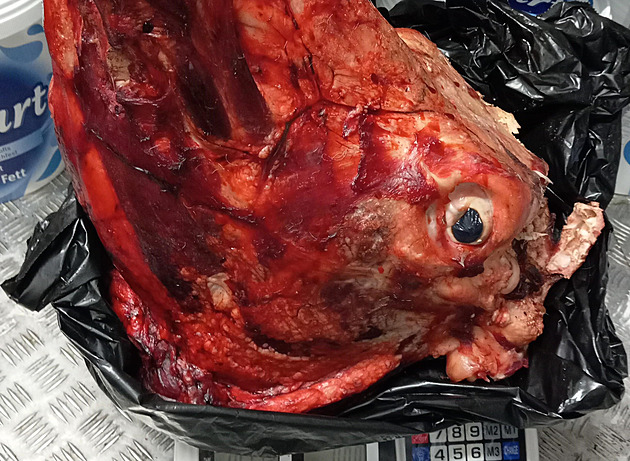 Třetina pražských halal restaurací chybovala, našlo se i nepovolené řeznictví