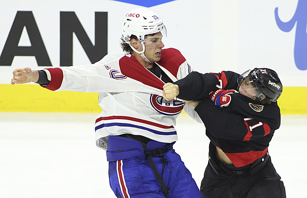 Slafkovský překonal Richarda, brankáři Dobeš s Vladařem dostali volno