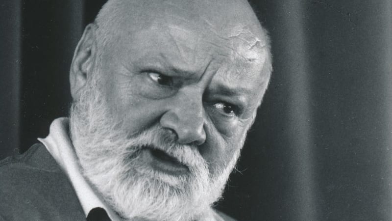 Zazářil ve filmu Kamarád do deště, byť v něm odmítal hrát. Jaké bylo soukromí herce Vyskočila?