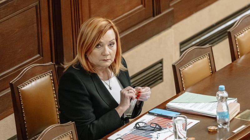 Schillerová: Na prodej Explosie je nejlepší doba. O firmu je obrovský zájem, rozhodne jen cena