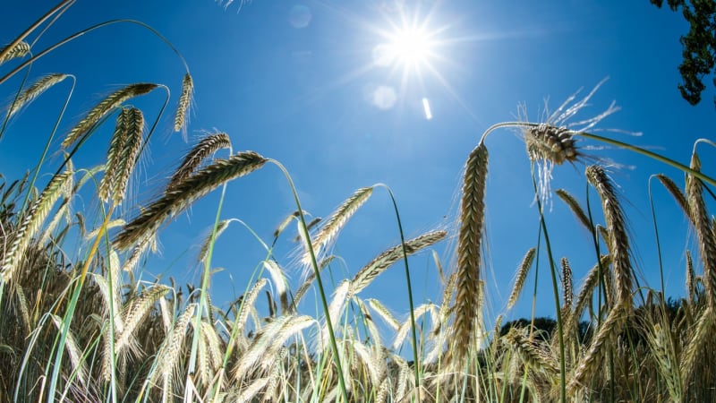 Přijde i závažnější sucho, varuje klimatolog. Problém nevyřešíme, jen mírníme následky
